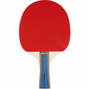 Ρακέτα Ping Pong 2 stars 46TJ