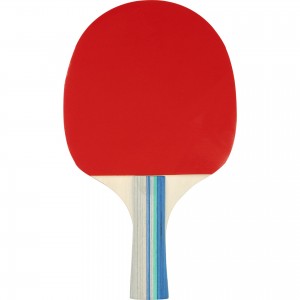 Σετ 2 Ρακέτες Ping Pong & 2 Μπαλάκια "Matchtime" 46TM