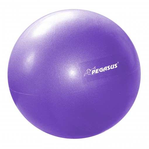 Pegasus® Μπάλα Γυμναστικής Pilates 25cm (Μωβ) Β-1510-PL