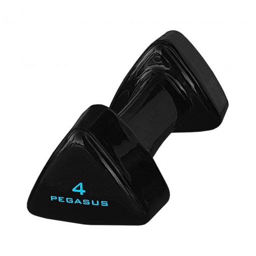 Pegasus® Τρίγωνος Αλτήρας Vinyl 4kg PG-1005 393600504