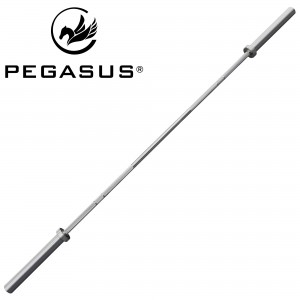 Pegasus Ολυμπιακή μπάρα 2000mm*28mm (15.4kg) 390318135