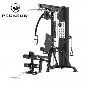 Πολυόργανο Pegasus® HG8 308878800