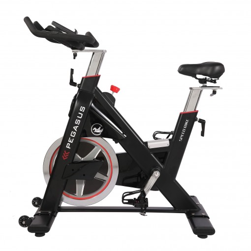 Ποδήλατο Pegasus® Spin Bike PG5 391167873