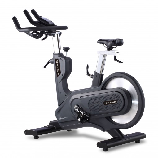 Pegasus® Spinning Bike S12 Ρ-3640